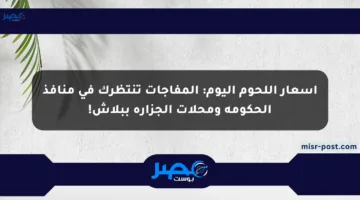 أسعار اللحوم اليوم: المفاجآت تنتظرك في منافذ الحكومة ومحلات الجزارة ببلاش!